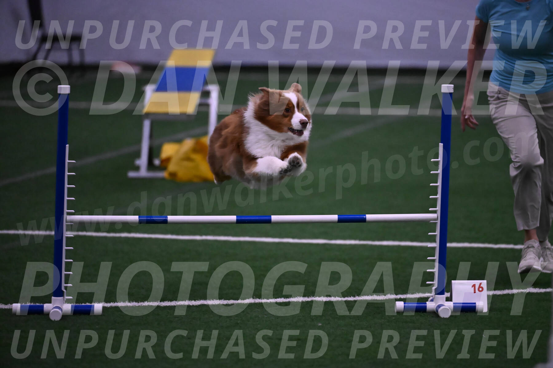 Roo-Elizabeth-Rowan-09164
