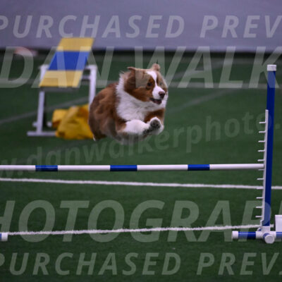 Roo-Elizabeth-Rowan-09164