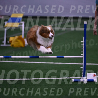 Roo-Elizabeth-Rowan-09165