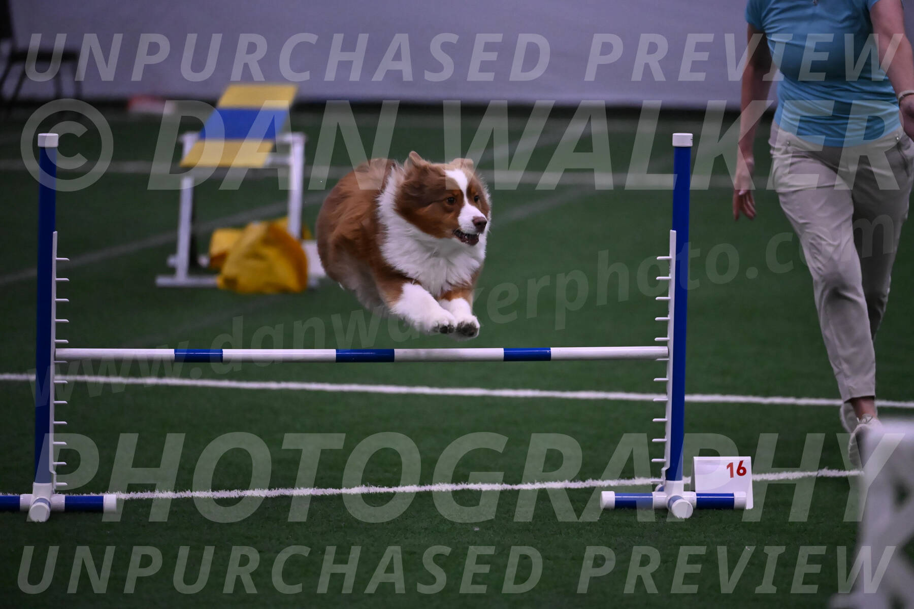 Roo-Elizabeth-Rowan-09165
