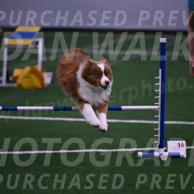 Roo-Elizabeth-Rowan-09166