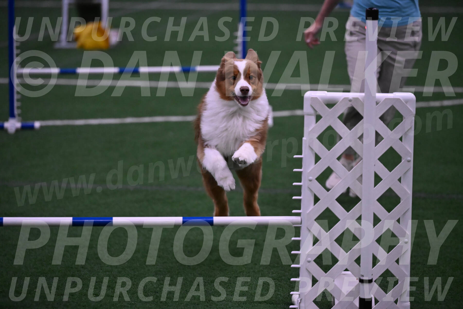 Roo-Elizabeth-Rowan-09168