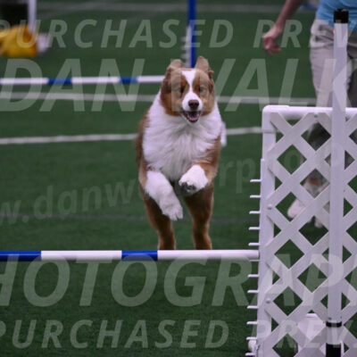 Roo-Elizabeth-Rowan-09168