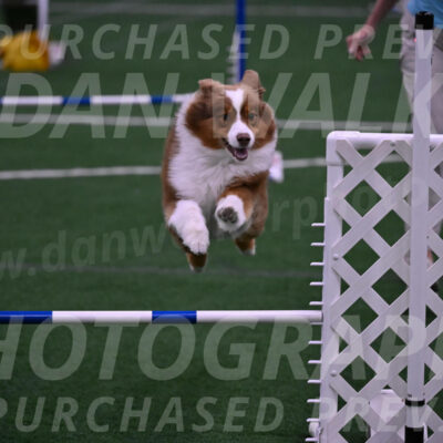 Roo-Elizabeth-Rowan-09169