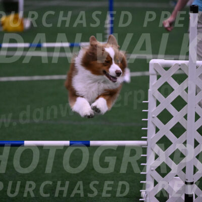 Roo-Elizabeth-Rowan-09170
