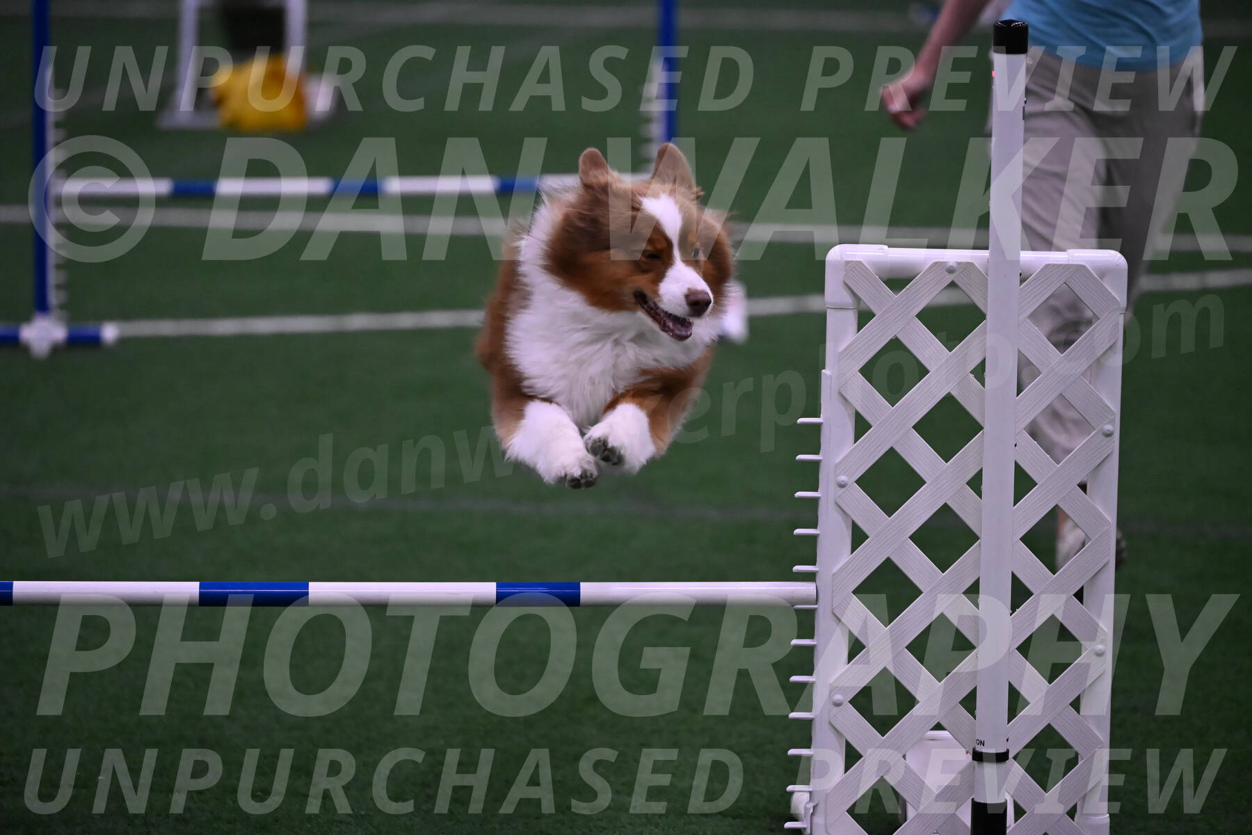 Roo-Elizabeth-Rowan-09170