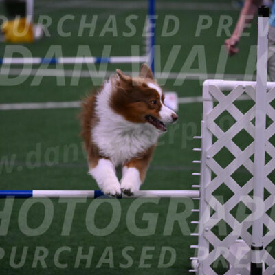 Roo-Elizabeth-Rowan-09171