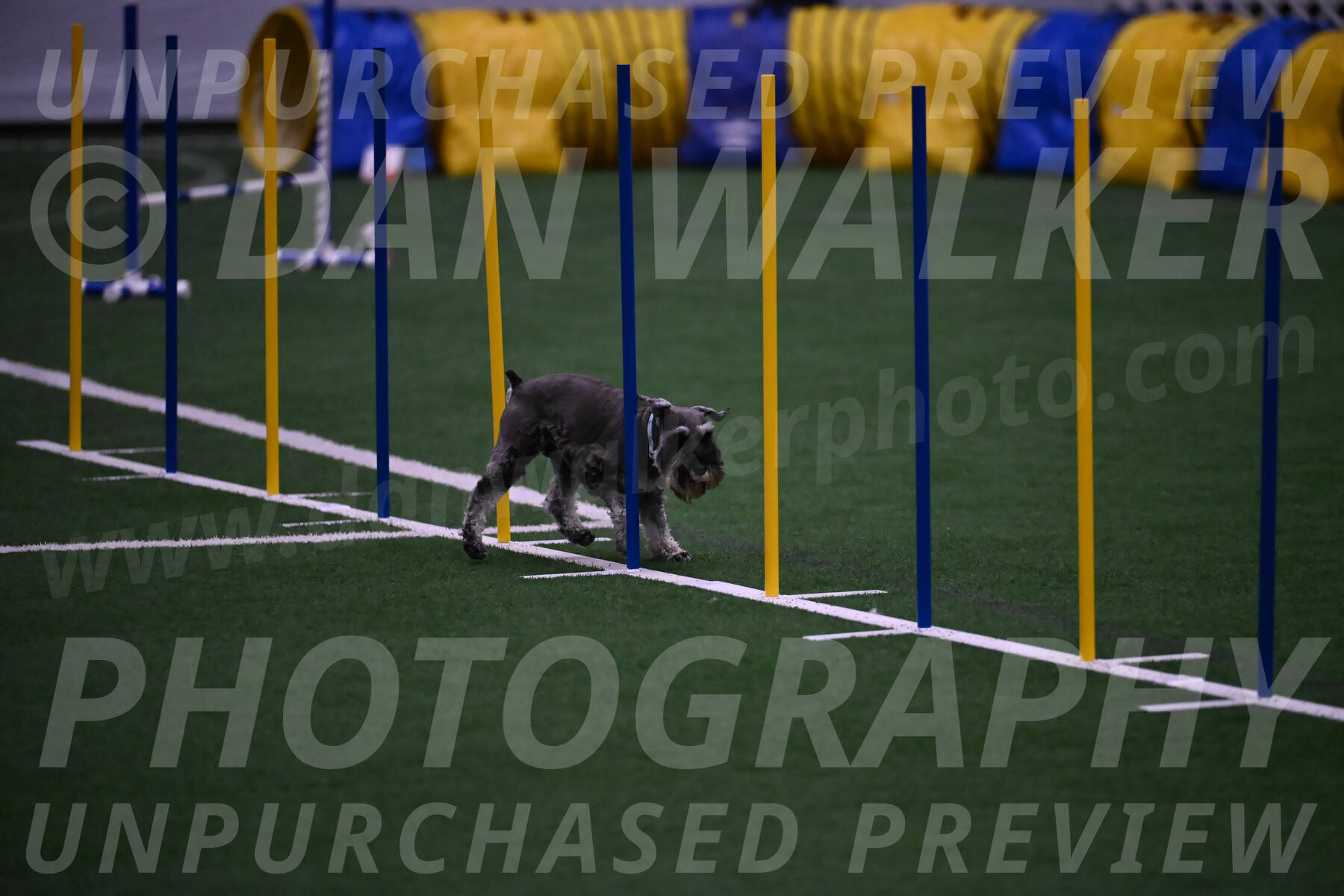 Rudy-Bethany-Mattern-10792