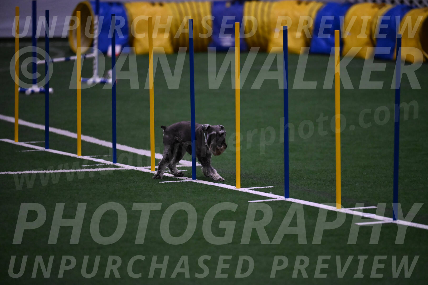 Rudy-Bethany-Mattern-10793