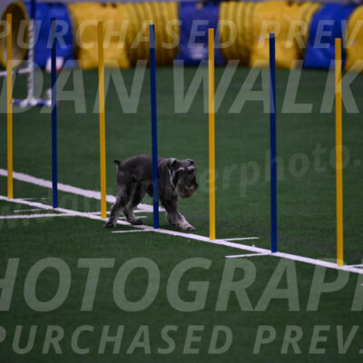 Rudy-Bethany-Mattern-10793
