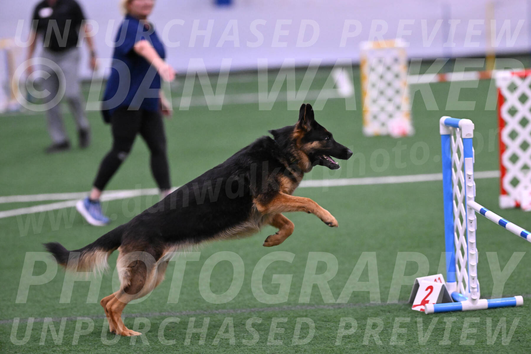 Sascha-Larraine-Perry-09551