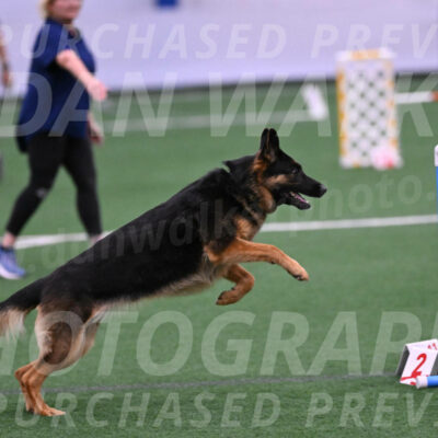 Sascha-Larraine-Perry-09551