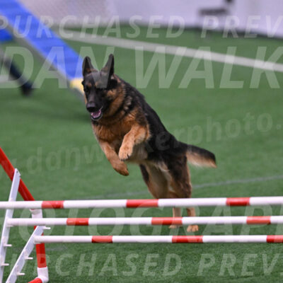 Sascha-Larraine-Perry-09570