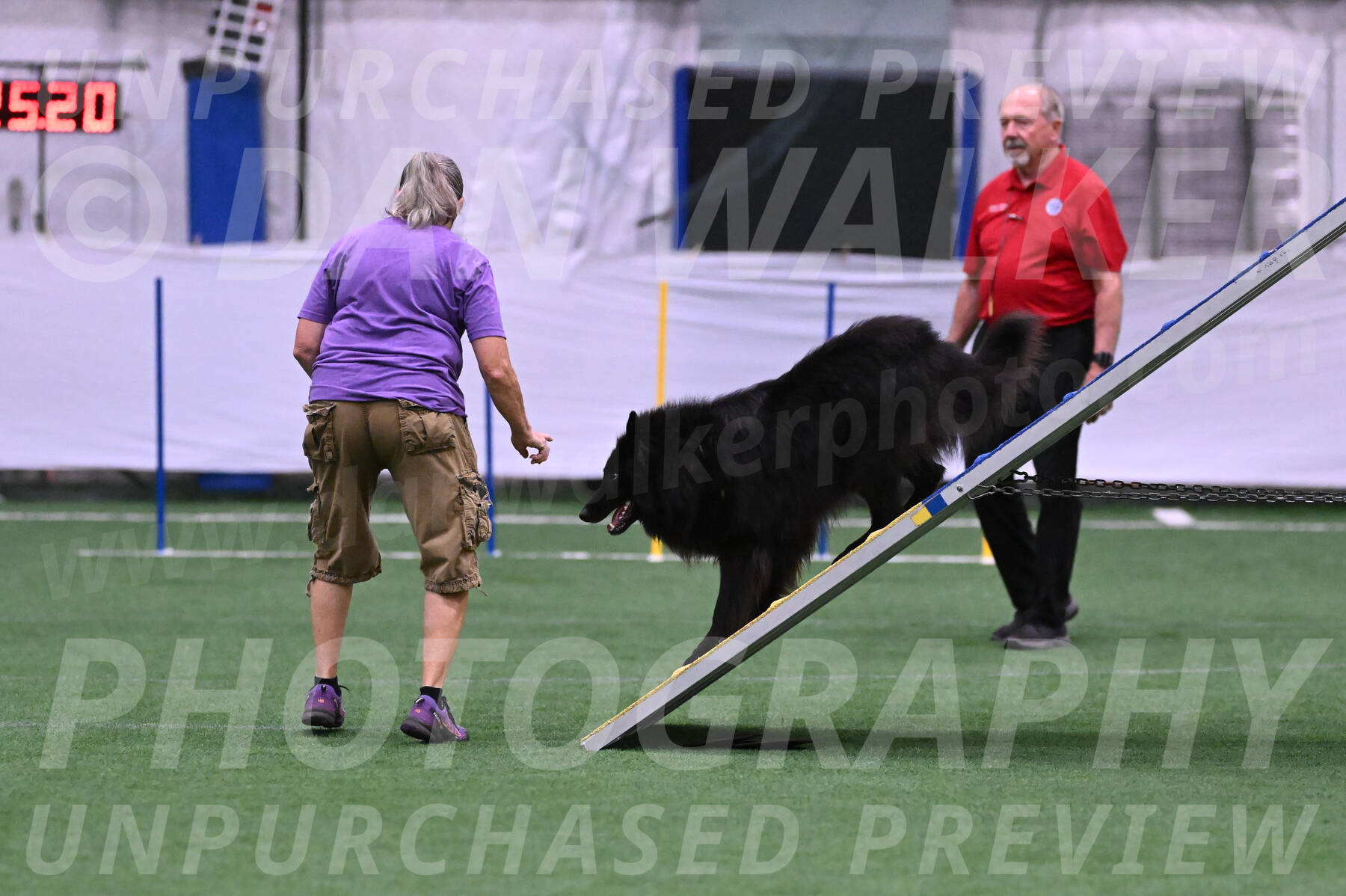 Score-Viola-Dyer-07295