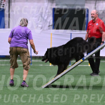 Score-Viola-Dyer-07295