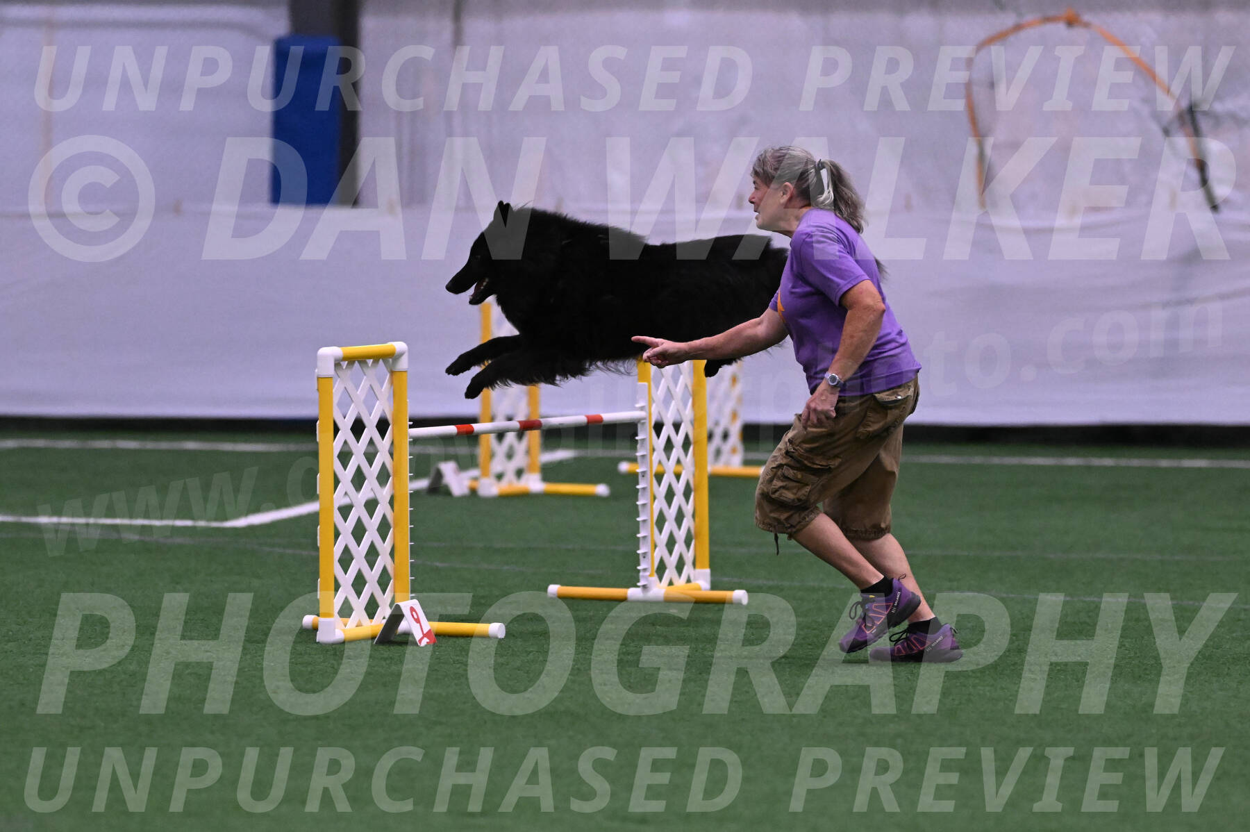 Score-Viola-Dyer-07296