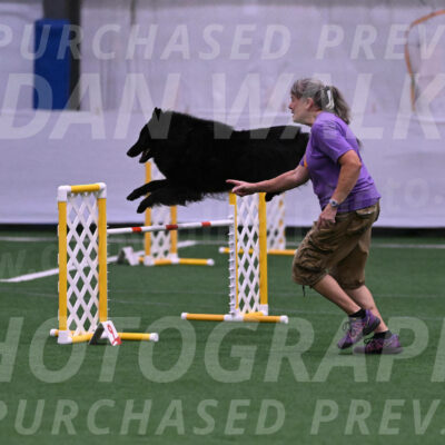 Score-Viola-Dyer-07296