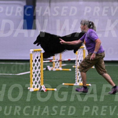 Score-Viola-Dyer-07297