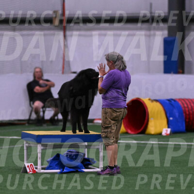 Score-Viola-Dyer-07303