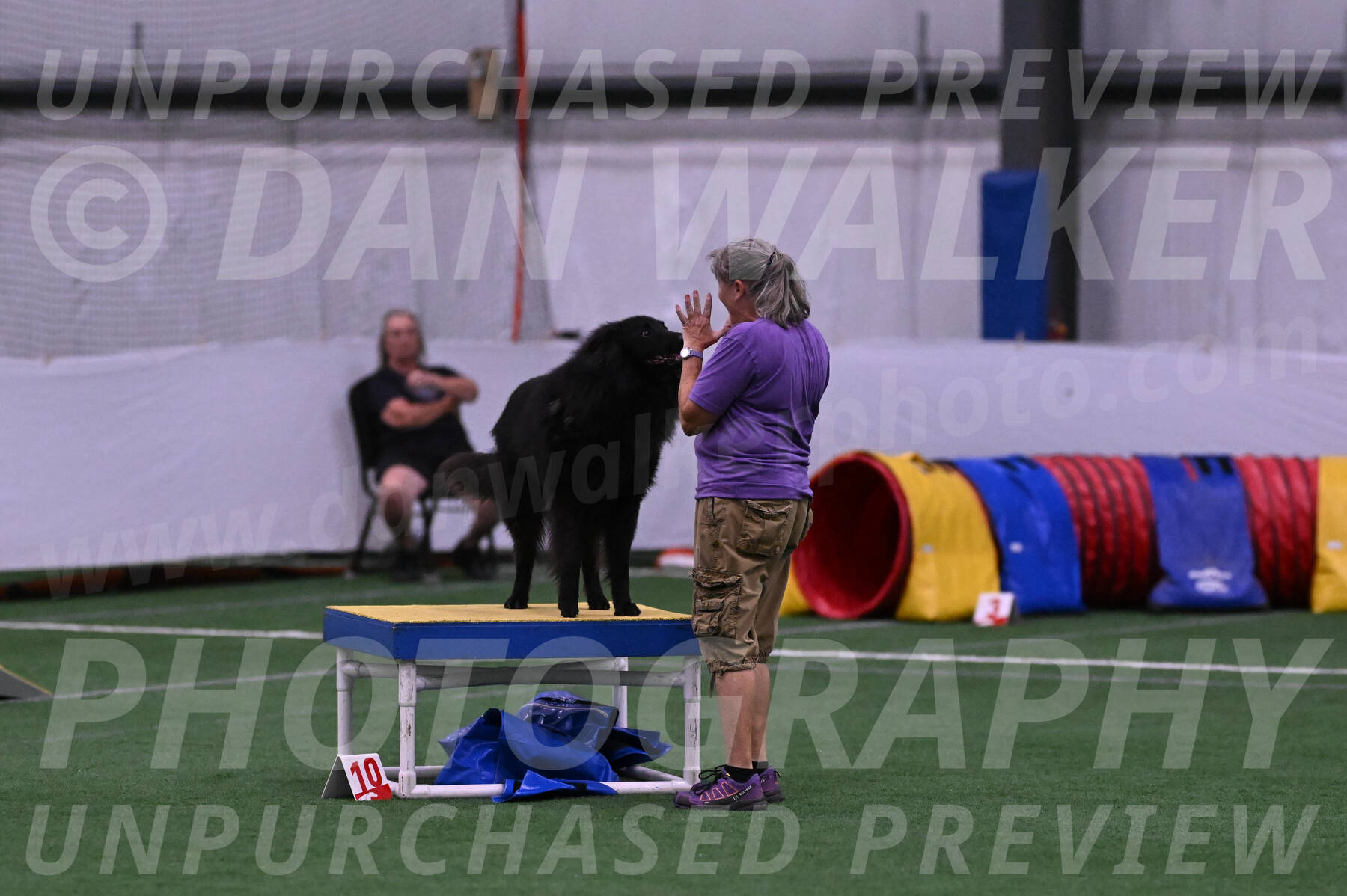 Score-Viola-Dyer-07303