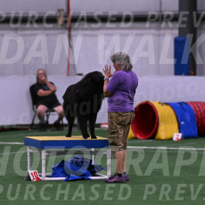 Score-Viola-Dyer-07306
