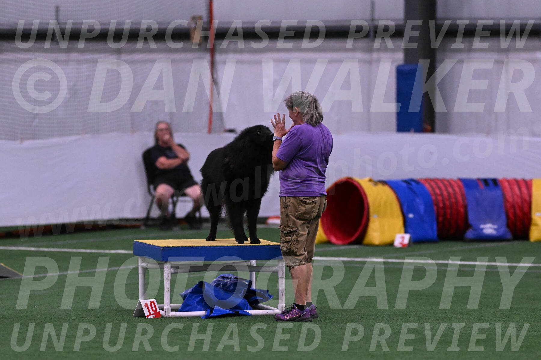 Score-Viola-Dyer-07306