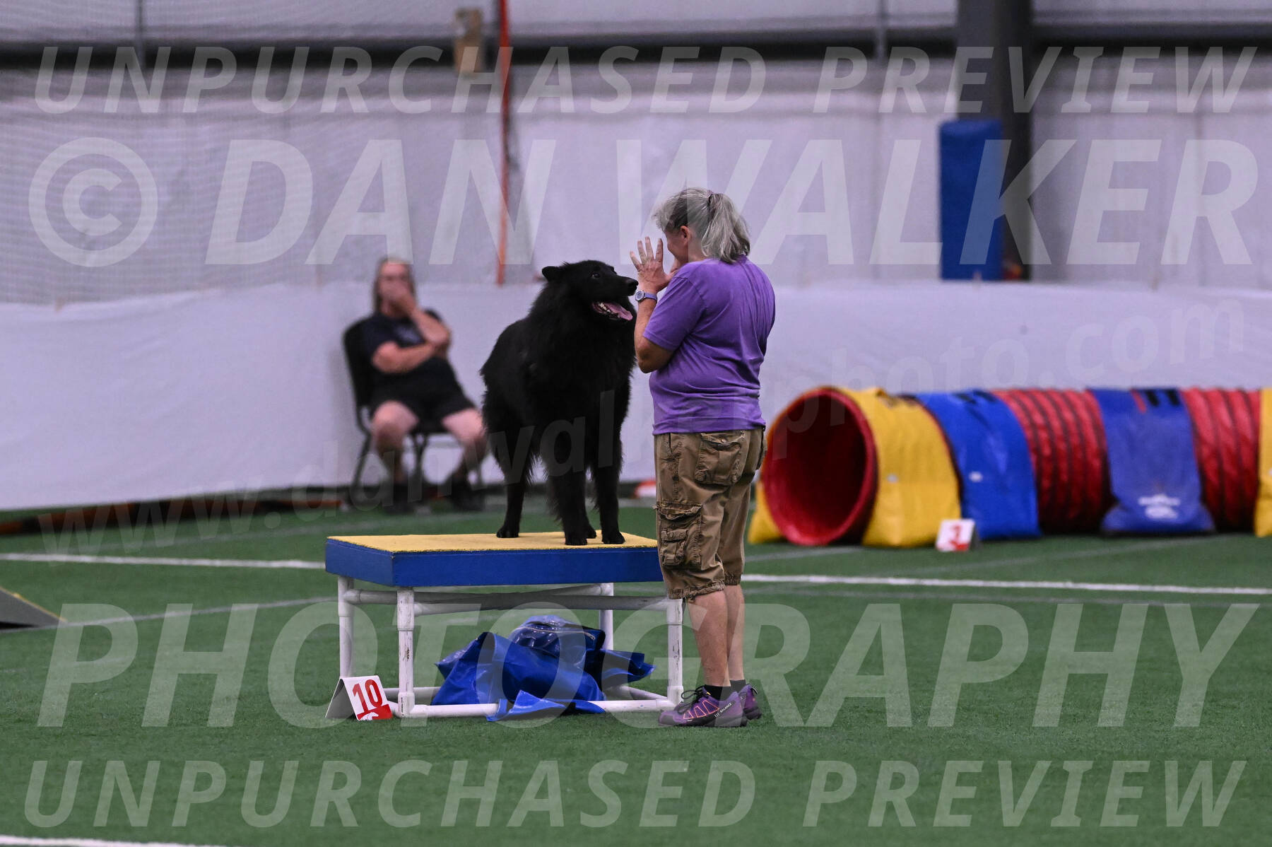 Score-Viola-Dyer-07312