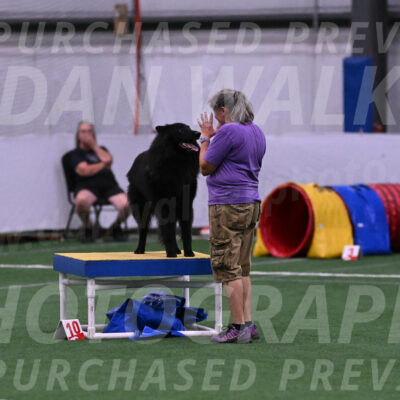 Score-Viola-Dyer-07312