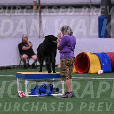 Score-Viola-Dyer-07313