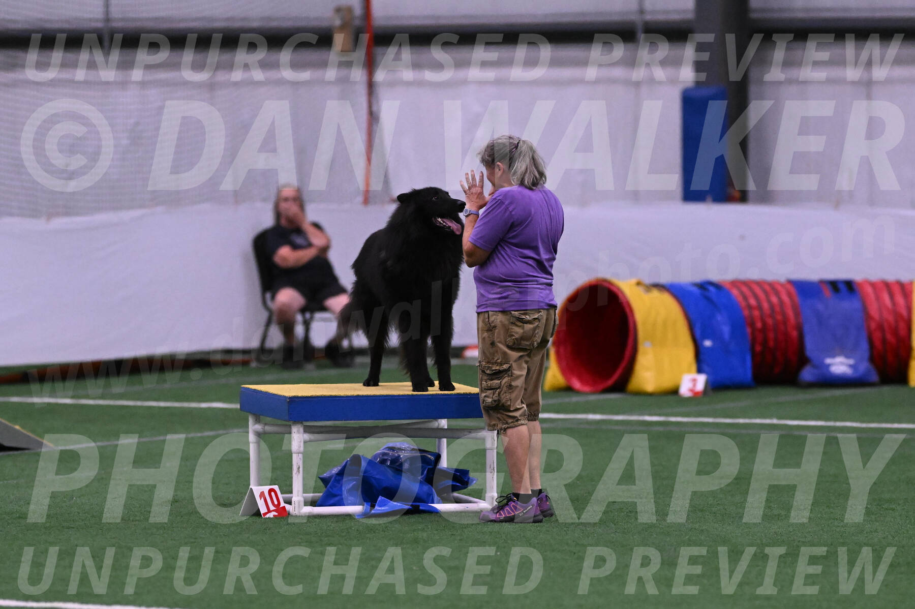 Score-Viola-Dyer-07314