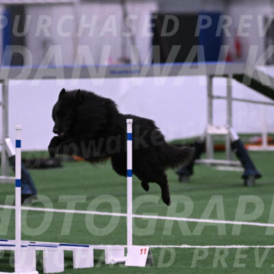 Score-Viola-Dyer-07317