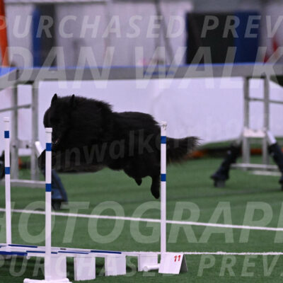 Score-Viola-Dyer-07318