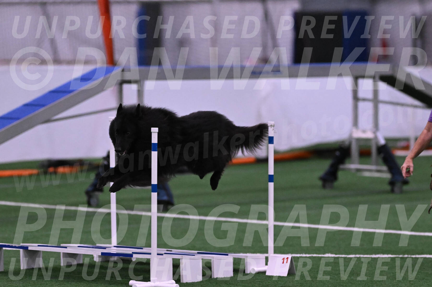 Score-Viola-Dyer-07319
