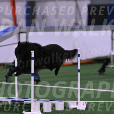 Score-Viola-Dyer-07319