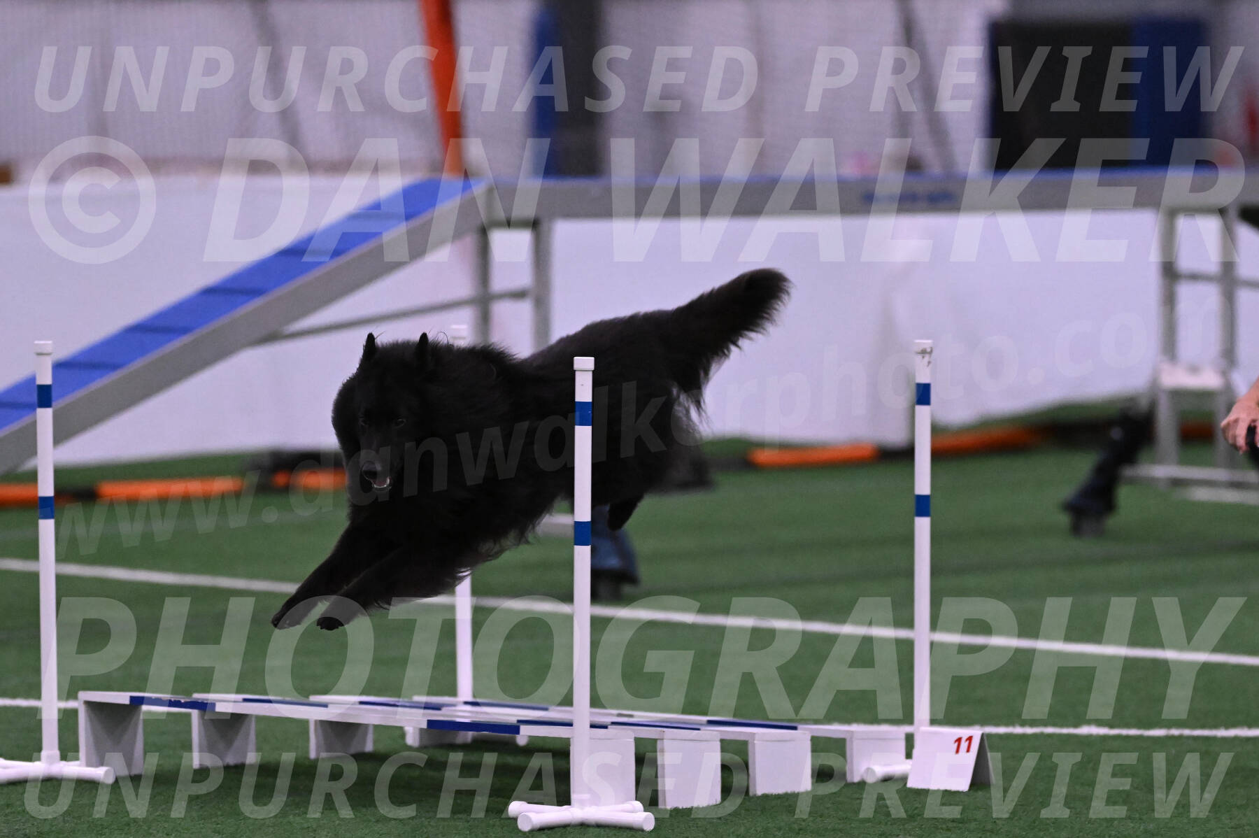 Score-Viola-Dyer-07320