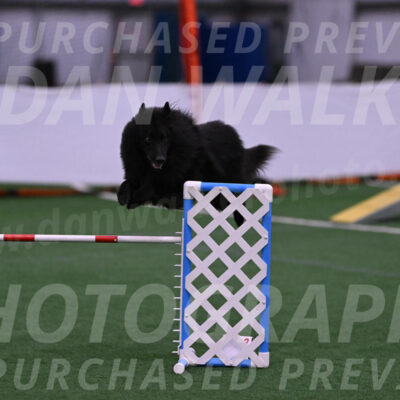 Score-Viola-Dyer-07324
