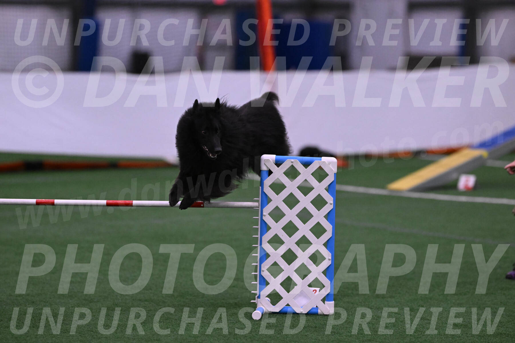 Score-Viola-Dyer-07325