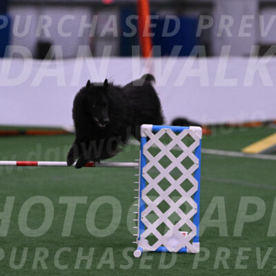 Score-Viola-Dyer-07325