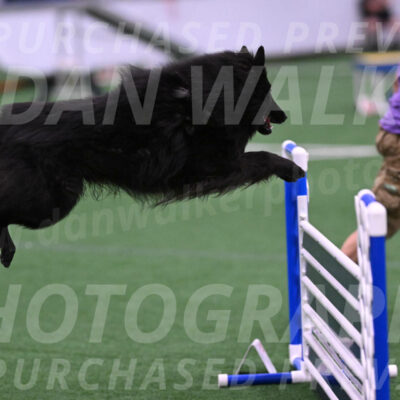 Score-Viola-Dyer-07327