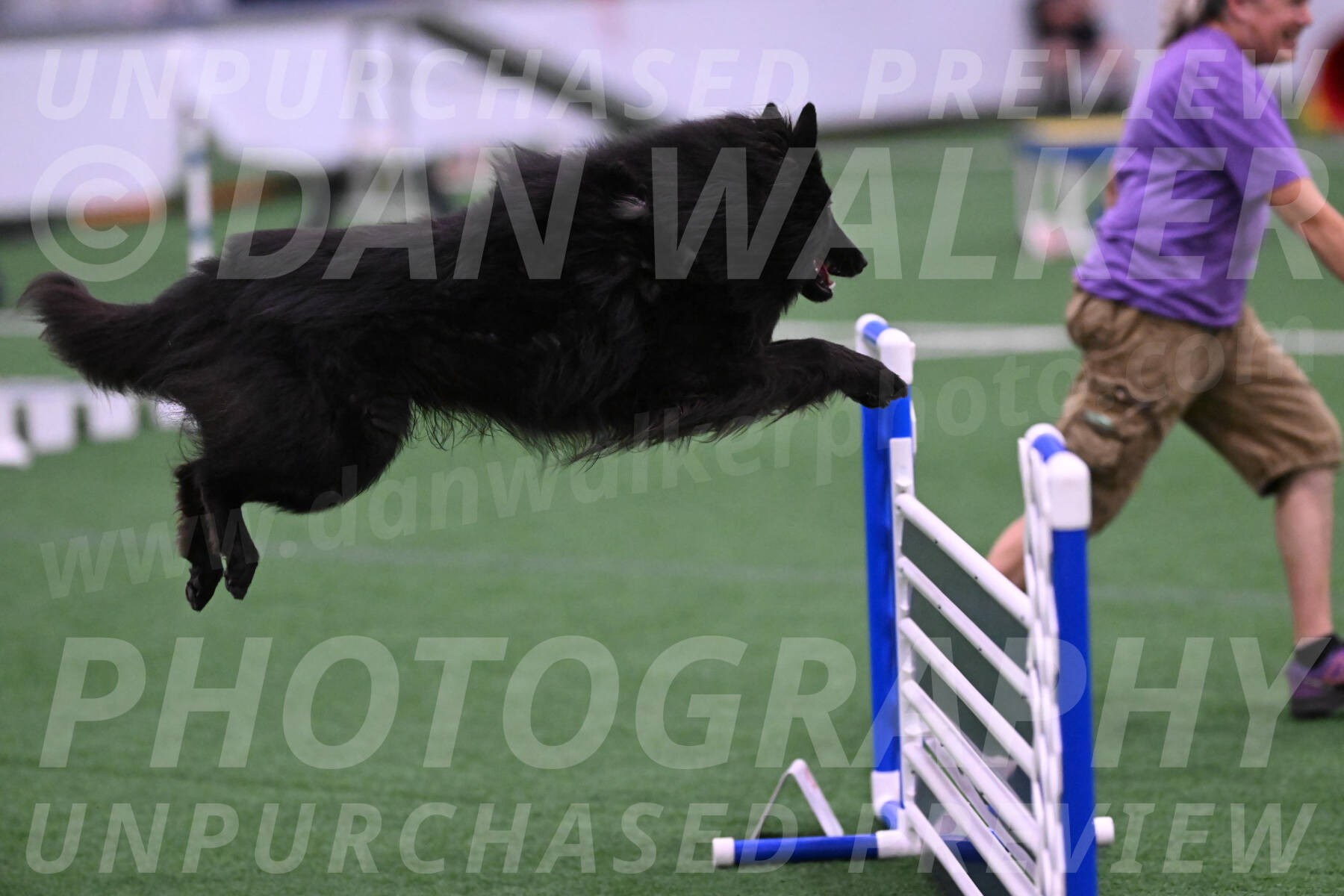 Score-Viola-Dyer-07327