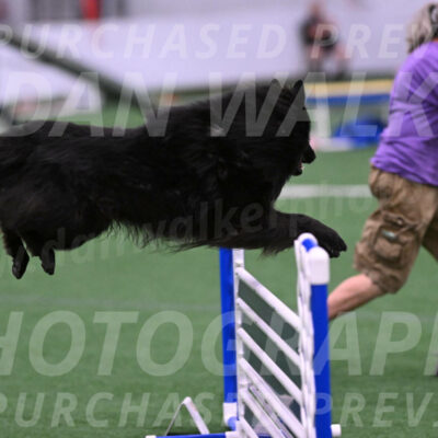 Score-Viola-Dyer-07328