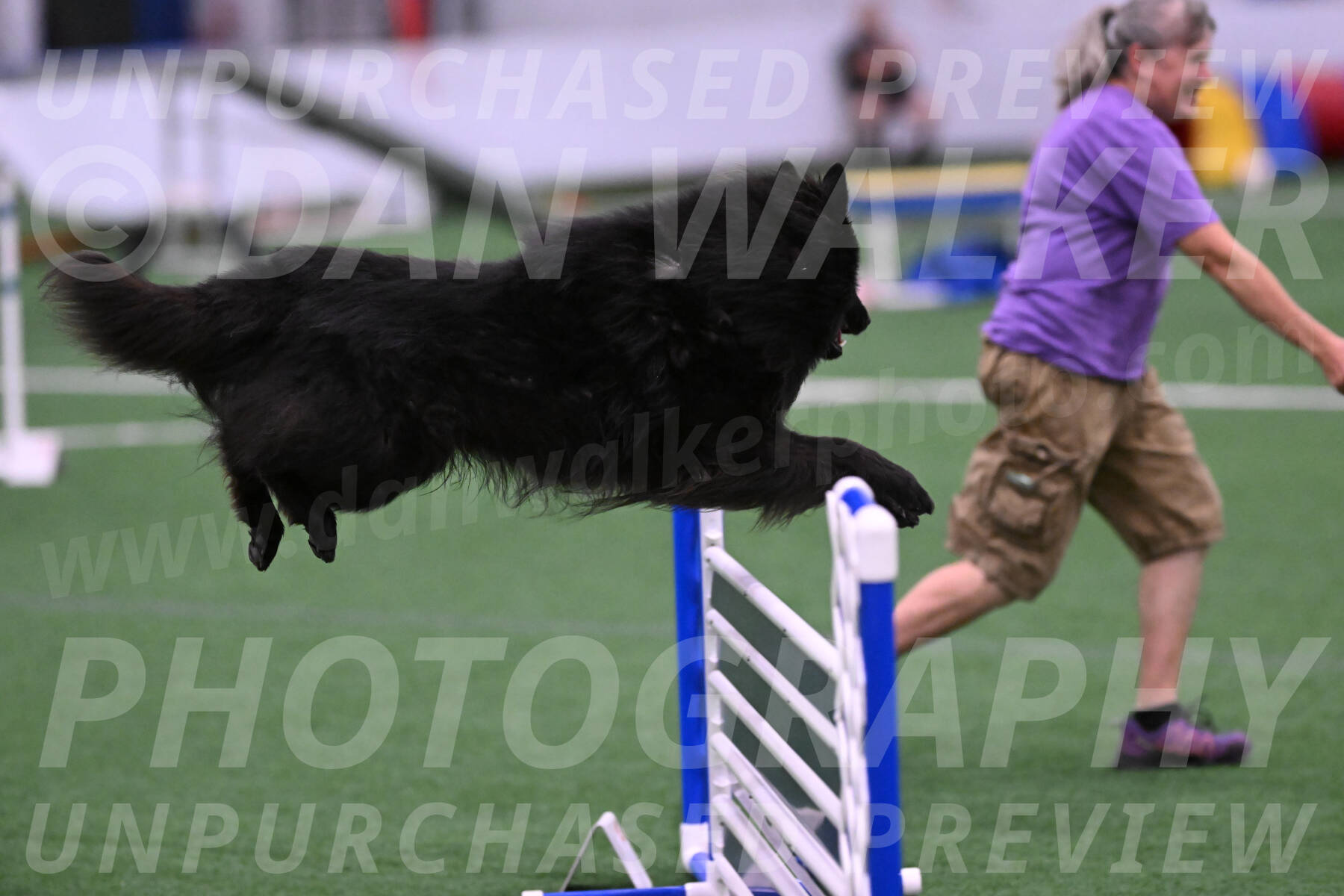 Score-Viola-Dyer-07328