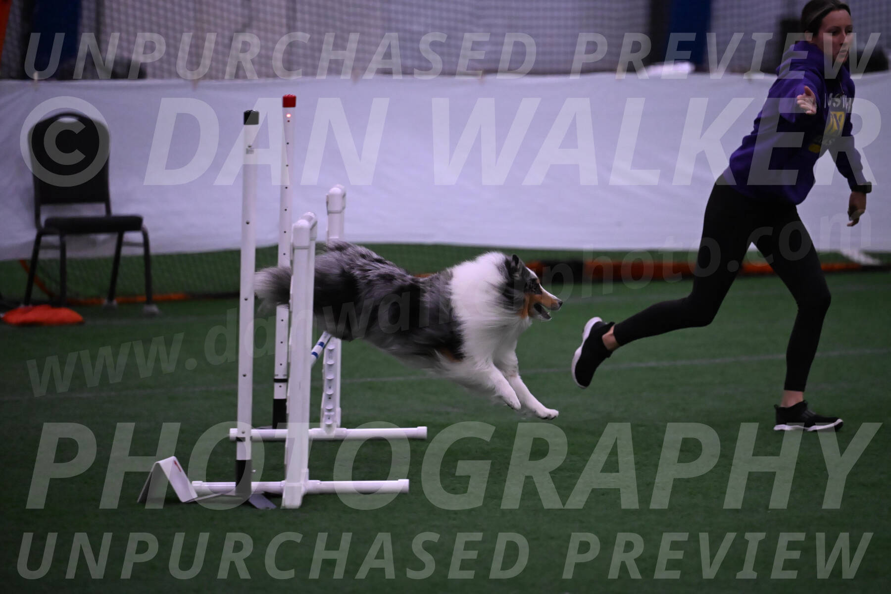 Shadow-Denise-Allison-00858