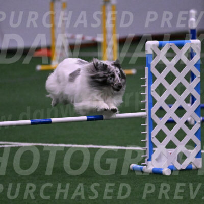 Sheldon-Cheryl-Lee-00338