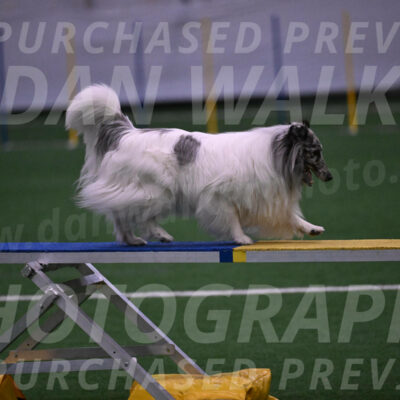 Sheldon-Cheryl-Lee-00348
