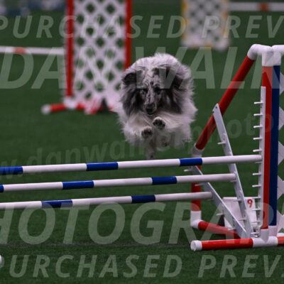 Sheldon-Cheryl-Lee-00399