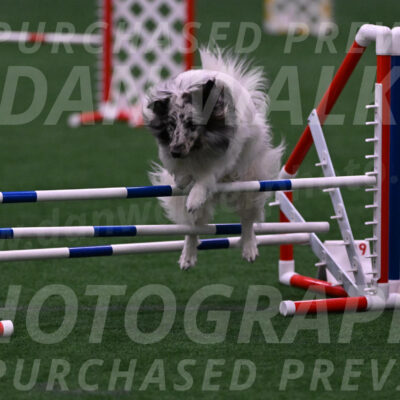 Sheldon-Cheryl-Lee-00402