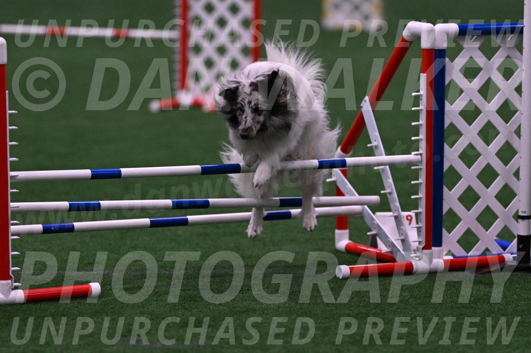 Sheldon-Cheryl-Lee-00402