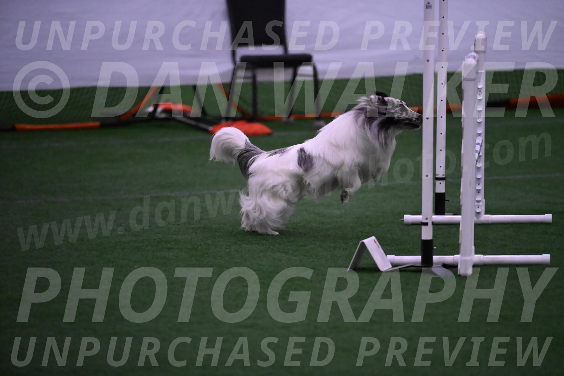 Sheldon-Cheryl-Lee-00405