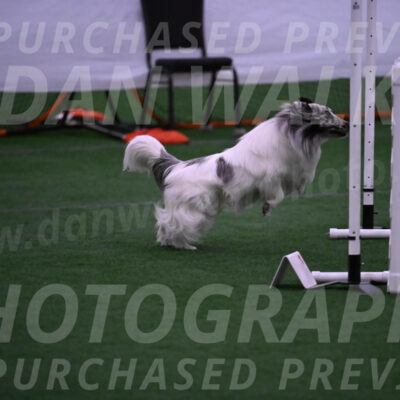Sheldon-Cheryl-Lee-00405